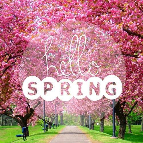 Hello spring!